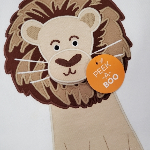 NEW Gymboree Summer Safari Embroidered T-Shirts, Patchwork Shorts, & Cap Bundle - Picture 3 of 12